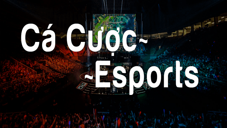 Cá cược Esports là gì?